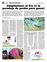 Suplemento 24-06-2012