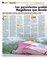 Suplemento 24-08-2014