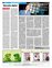 Suplemento 24-10-2010