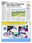 Suplemento 24-10-2012