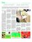 Suplemento 24-10-2015
