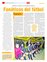 Suplemento 24-11-2012