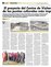 Suplemento 24-11-2013