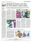 Suplemento 25-05-2016