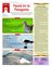 Suplemento 25-09-2010