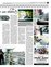 Suplemento 26-06-2011