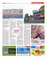 Suplemento 26-06-2016