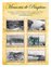 Suplemento 26-09-2010