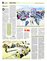 Suplemento 27-01-2013