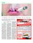 Suplemento 28-02-2015