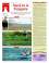 Suplemento 28-08-2010