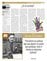 Suplemento 28-09-2013