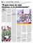 Suplemento 28-10-2012