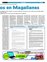 Suplemento 28-11-2010