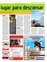 Suplemento 29-01-2011