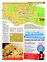 Suplemento 29-05-2011