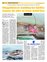 Suplemento 29-05-2011