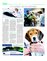 Suplemento 29-08-2015