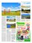 Suplemento 29-10-2011