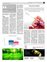 Suplemento 30-10-2011