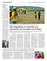 Suplemento 30-12-2015