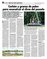 Suplemento 31-08-2014