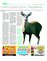Suplemento 31-10-2015