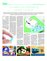 Suplemento 31-10-2015