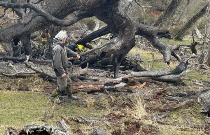 Continúa la vigilancia en Isla Riesco luego de incendio que afectó