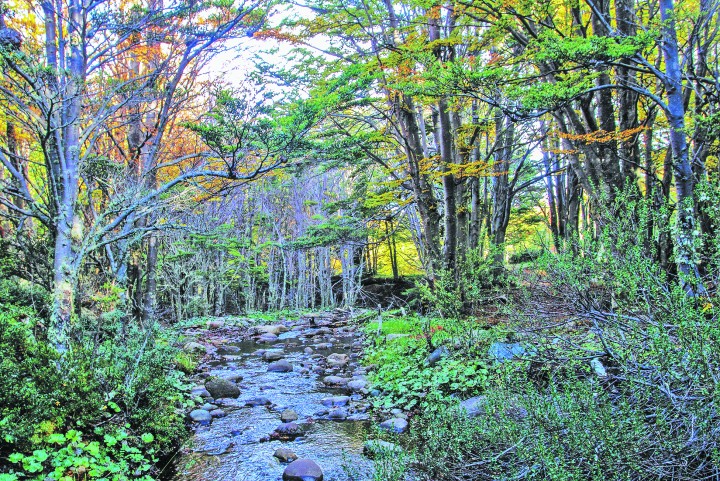 Laguna Lynch El paraíso a un paso