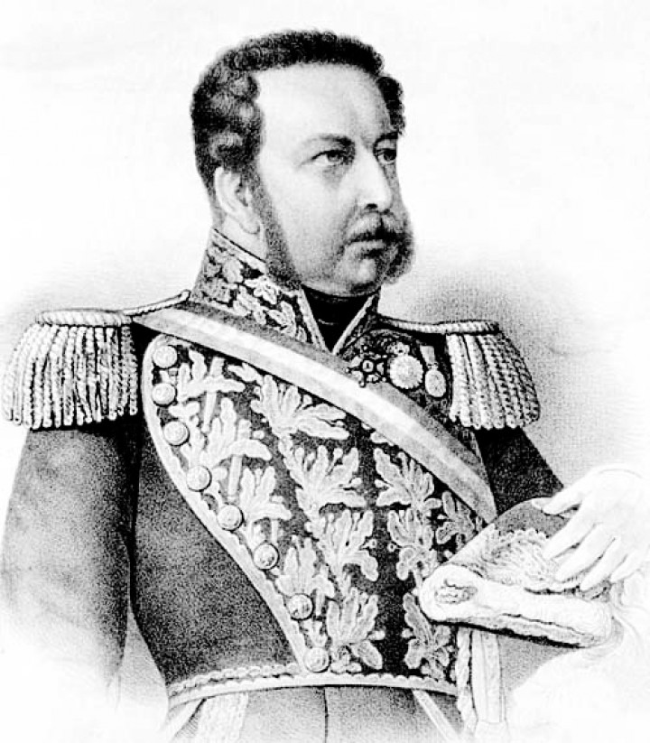 ¿Quién fue Manuel Bulnes?