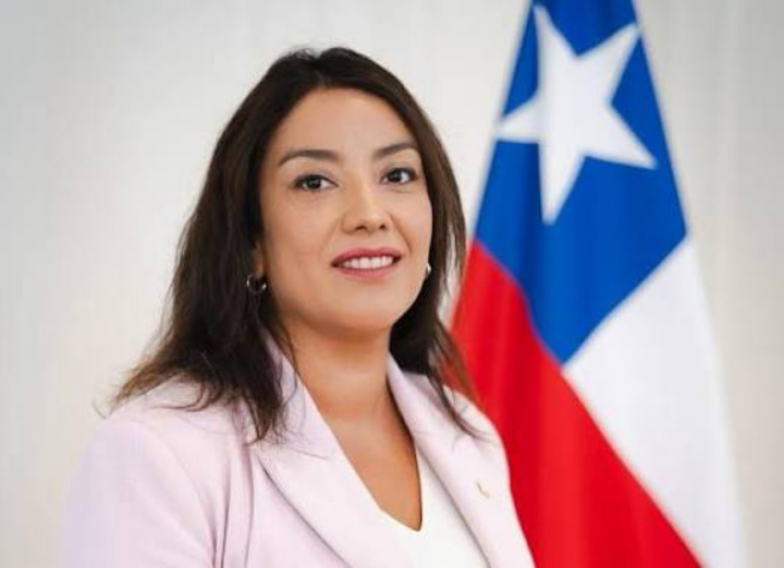 Pese al respaldo de Farías, Panicucci renunció al área social en la Delegación Presidencial