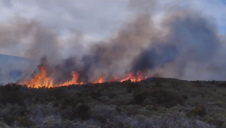 Decretan Alerta Roja Por Incendio Forestal En Porvenir Elpinguinocom 3353