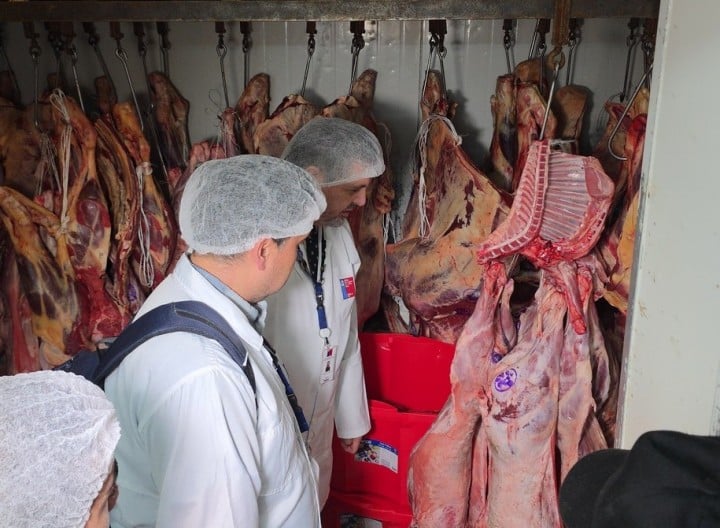 Gobierno intensifica fiscalización de carnicerías para garantizar seguridad alimentaria en Navidad