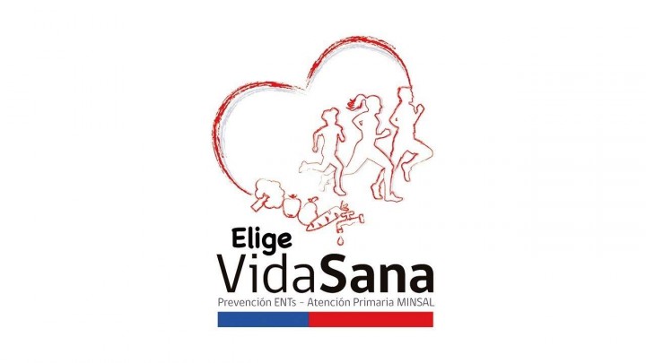 En Magallanes Se Está Realizando El Programa "Elige Vida Sana ...