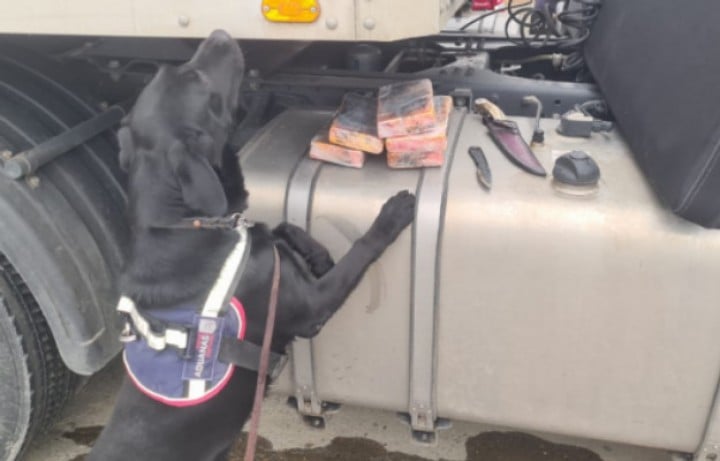 Camionero argentino condenado por tráfico de drogas cumplirá pena en libertad vigilada